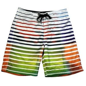 Mens Oakley Board Shorts Striped Rainbow Multicolor Size 33 Surf Swim Trunks